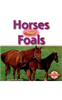 Horses Have Foals