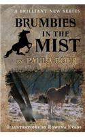 Brumbies in the Mist