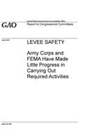 Levee Safety