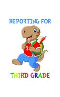 Reporting For 3rd Grade