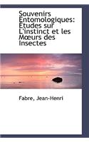 Souvenirs Entomologiques: Etudes Sur L'Instinct Et Les M Urs Des Insectes: Etudes Sur L'Instinct Et Les M Urs Des Insectes