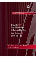 Property and Social Resilience in Times of Conflict