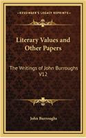 Literary Values and Other Papers