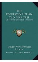 Population Of An Old Pear Tree