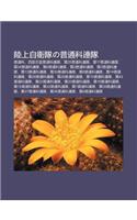 Lu Shang Zi Wei Duino P T Ng K Lian DUI: P T Ng K, XI Bu F Ng Mian P T Ng K Lian DUI, Di25p T Ng K Lian DUI, Di11p T Ng K Lian DUI