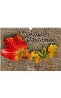 Couleurs de l'Automne 2017