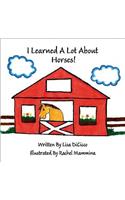 I Learned a Lot About Horses