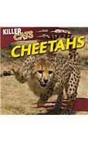 Cheetahs