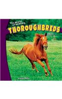 Thoroughbreds