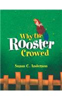 Why the Rooster Crowed