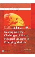 Dealing with the Challenges of Macro Financial Linkages in Emerging Markets