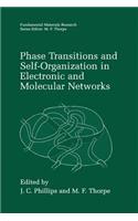 Phase Transitions and Self-Organization in Electronic and Molecular Networks