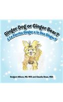 Ginger Dog or Ginger Bear?