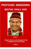 Profound Awakening Meeting Papaji Now - Vol 1: Papaji's presence and message of truth is palpable and relevant today