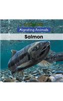 Salmon: (Migrating Animals)