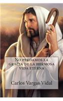 No perdamos la gracia de la hermosa vida eterna