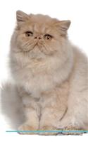 Persian Cat Affirmations Workbook Persian Cat Presents: Positive and Loving Affirmations Workbook. Includes: Mentoring Questions, Guidance, Supporting You.