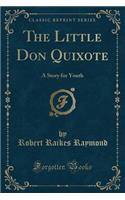 The Little Don Quixote: A Story for Youth (Classic Reprint)