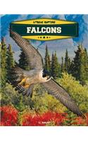 Falcons