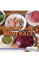 What Are Minerals?