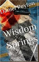 Wisdom Springs