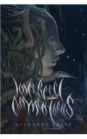 Imperfect Commentaries