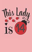 this lady is 14: funny 14th ladybug lovers girl Birthday Notebook / journal Gift