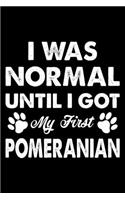 I Was Normal Until I Got My First Pomeranian