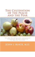 Cultivation of the Peach and the Pear