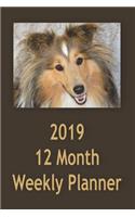 2019 12 Month Weekly Planner: 1 Year Daily/Weekly/Monthly Planner, January 2019-December 2019, Shetland Sheep Dog Cover