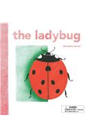 The Ladybug