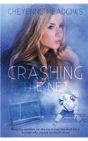 Crashing The Net