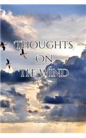 Thoughts on the Wind