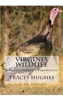 Virginia Wildlife