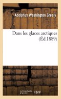 Dans Les Glaces Arctiques