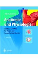 Anatomie Und Physiologie