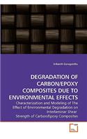 Degradation of Carbon/Epoxy Composites Due to Environmental Effects