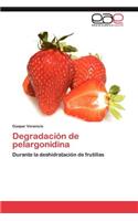 Degradacion de Pelargonidina