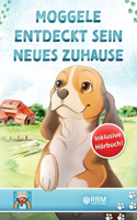 Moggele entdeckt sein neues Zuhause