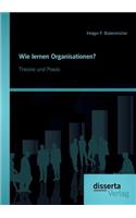 Wie lernen Organisationen? Theorie und Praxis