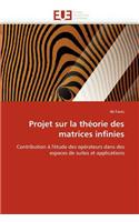 Projet Sur La Théorie Des Matrices Infinies