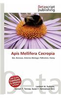APIs Mellifera Cecropia