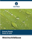Weichschildläuse
