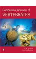 Comparative Anatomy Of Vertebrates