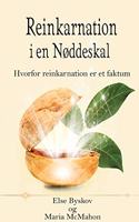 Reinkarnation i en Nøddeskal
