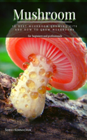 Mushroom