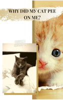 Why Did My Cat Pee on Me: Potential Explanati&#1054;ns + Soluti&#1054;ns