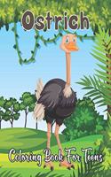 Ostrich Coloring Book for Teens: An Amazing Ostrich Coloring Book For Ostrich Lovers ( Adults Coloring Book ) Volume-1