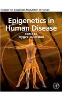 Parathyroid Hormone and Calcium Homeostasis