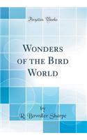 Wonders of the Bird World (Classic Reprint)